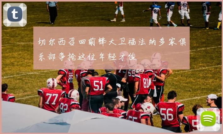 切尔西召回前锋大卫福法纳多家俱乐部争抢这位年轻才俊
